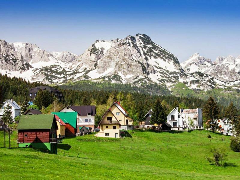Andrea Zabljak (Zabljak)